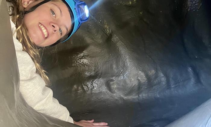 Caving System - New for 2025